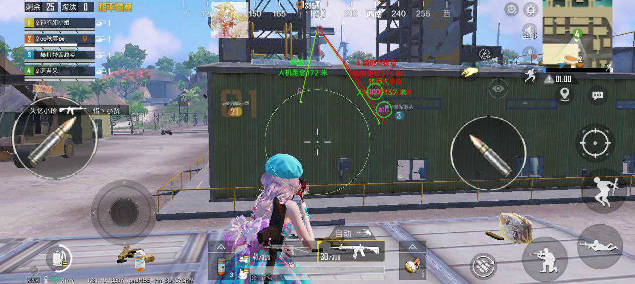 和平精英彼岸花外挂