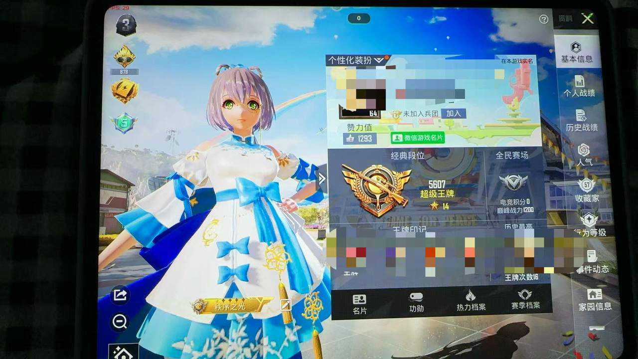 和平精英番茄辅助