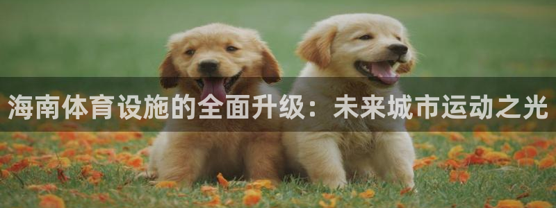凯捷体育科技