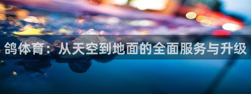 凯捷体育招商电话是多少：鸽体育：从天空到地面的全面服