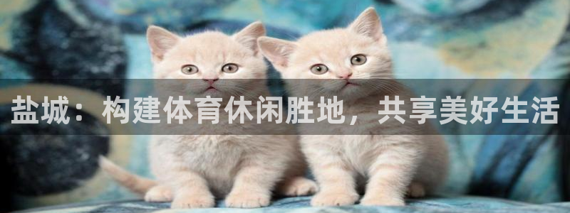 凯捷体育招商电话地址：盐城：构建体育休闲胜地，共享美