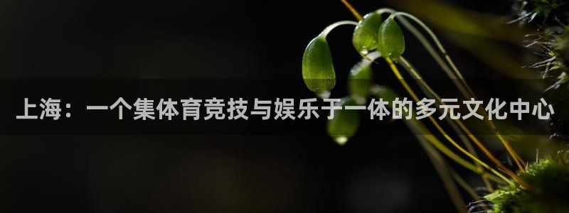 凯捷体育娱乐40996