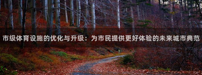 凯捷体育娱乐平台：市级体育设施的优化与升级：为市民提