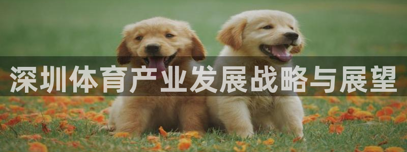 海南凯捷体育发展怎么样：深圳体育产业发展战略与展望