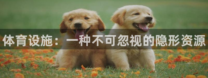 凯捷体育集团简介：体育设施：一种不可忽视的隐形资源