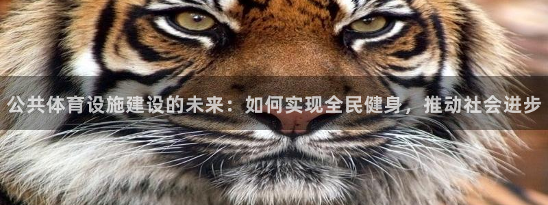 凯捷体育注册：公共体育设施建设的未来：如何实现全民健