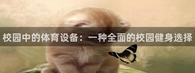 凯捷体育新能源