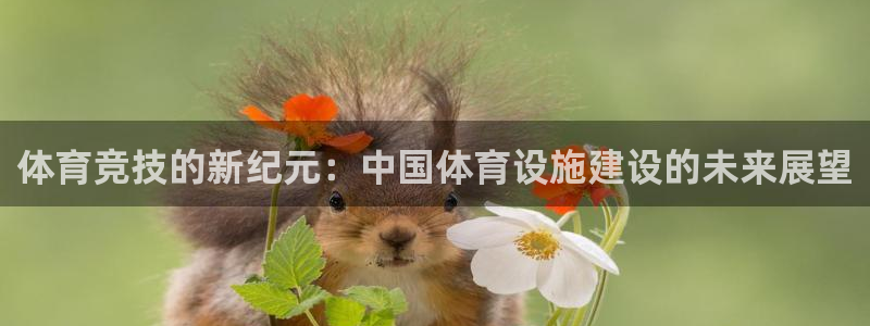 凯捷体育娱乐网站：体育竞技的新纪元：中国体育设施建设