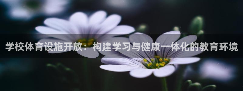 凯捷体育集团logo：学校体育设施开放：构建学习与健