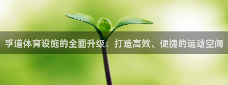 海南凯捷体育：孚道体育设施的全面升级：打造高效、便捷