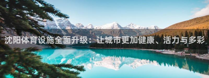 凯捷体育平台是正规平台吗：沈阳体育设施全面升级：让城