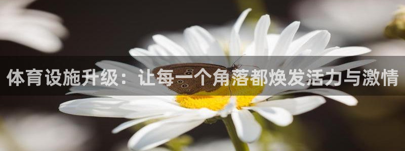 凯捷体育娱乐首页官网下载：体育设施升级：让每一个角落