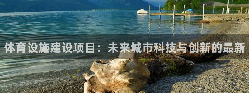 凯捷体育平台注册流程图：体育设施建设项目：未来城市科