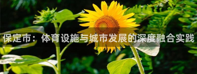 凯捷体育集团简介：保定市：体育设施与城市发展的深度融