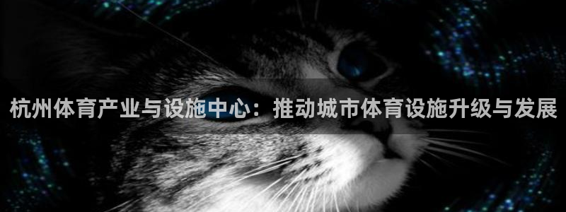 凯捷体育神州：杭州体育产业与设施中心：推动城市体育设