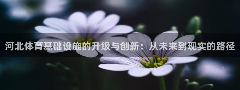 凯捷体育娱乐下载：河北体育基础设施的升级与创新：从未