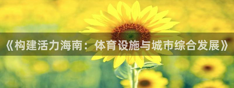 凯捷体育五金厂：《构建活力海南：体育设施与城市综合发