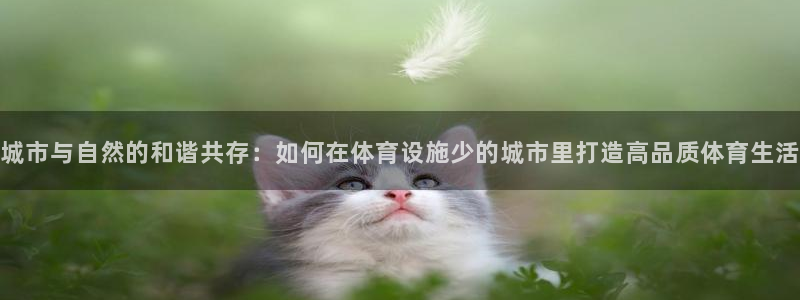 凯捷体育娱乐网站：城市与自然的和谐共存：如何在体育设