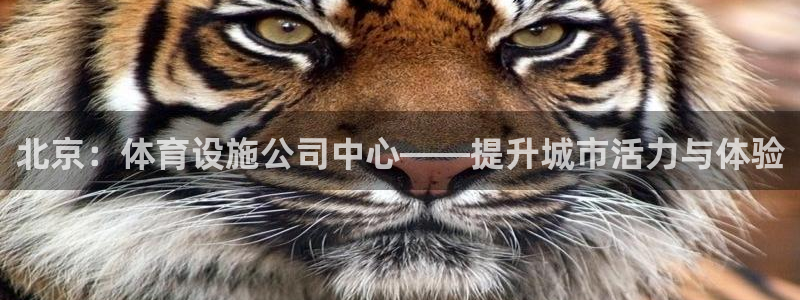 凯捷集团官网：北京：体育设施公司中心——提升城市活力