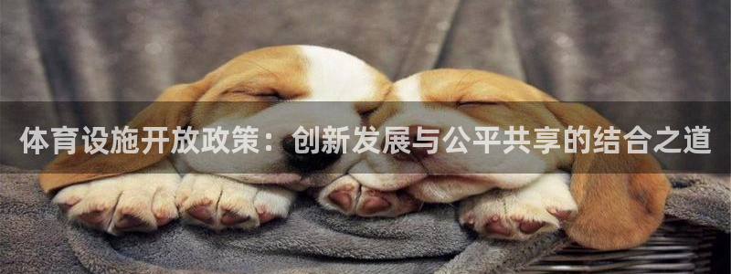 凯捷体育平台注册要钱吗是真的吗：体育设施开放政策：创