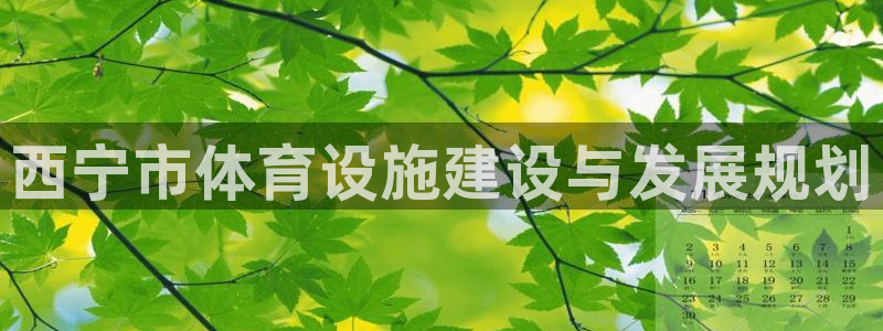 凯捷集团官网：西宁市体育设施建设与发展规划