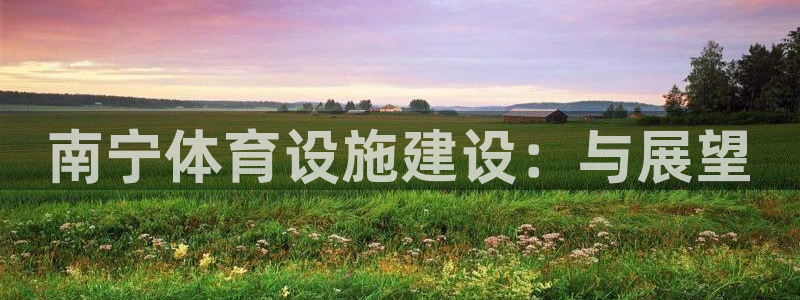 凯捷体育招商电话是多少啊：南宁体育设施建设：与展望