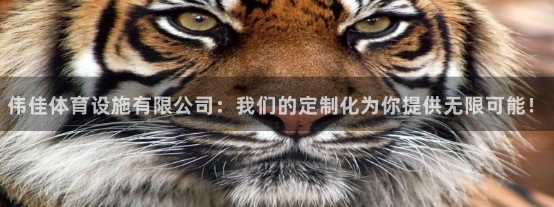 凯捷体育娱乐40996：伟佳体育设施有限公司：我们的
