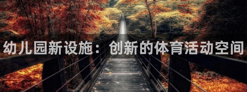 凯捷体育：幼儿园新设施：创新的体育活动空间