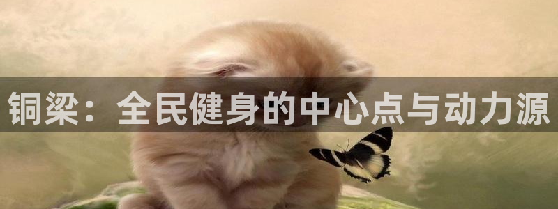 凯捷体育平台注册要钱吗：铜梁：全民健身的中心点与动力