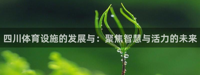 凯捷体育娱乐平台：四川体育设施的发展与：聚焦智慧与活