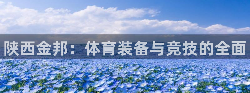 凯捷体育招商电话号码是多少号：陕西金邦：体育装备与竞