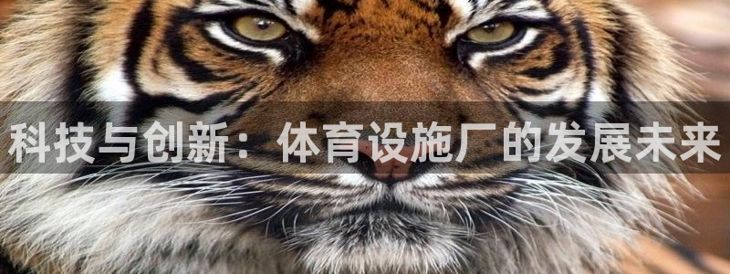 凯捷体育集团：科技与创新：体育设施厂的发展未来