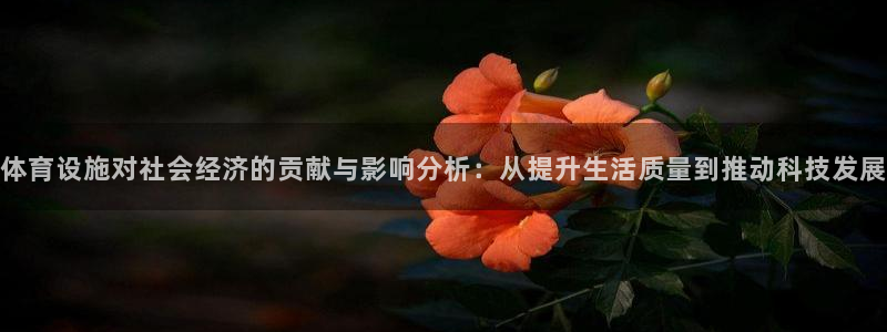 凯捷体育平台假的吗是真的吗：体育设施对社会经济的贡献
