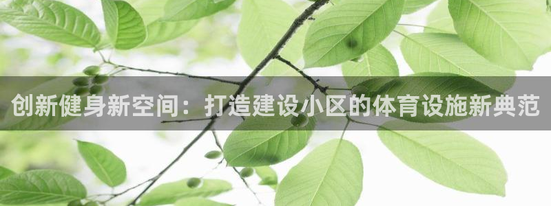 凯捷体育官方客服电话：创新健身新空间：打造建设小区的