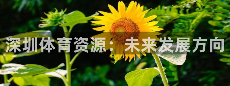 凯捷体育平台注册要钱吗：深圳体育资源：未来发展方向