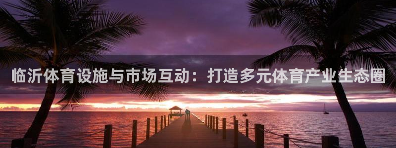 凯捷体育平台是正规平台吗安全吗：临沂体育设施与市场互动：打造