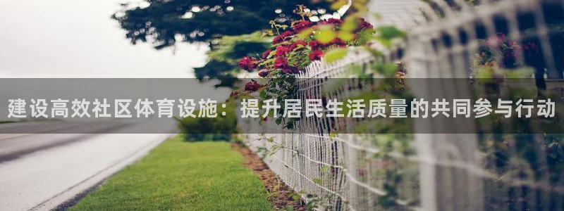 德国凯捷体育集团：建设高效社区体育设施：提升居民生活