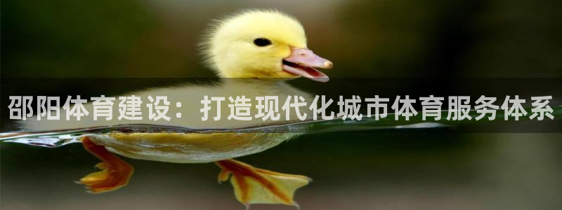 凯捷体育集团：邵阳体育建设：打造现代化城市体育服务体系 