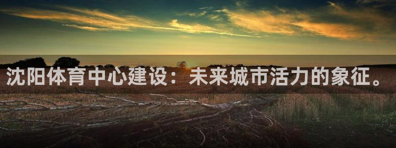 凯捷体育集团官网首页：沈阳体育中心建设：未来城市活力